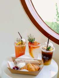 คาเฟ่เขาใหญ่ฟิลยุโรป