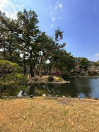 廣島｜泉水屋敷到縮景園 經過原爆悲劇後重現400年前庭園