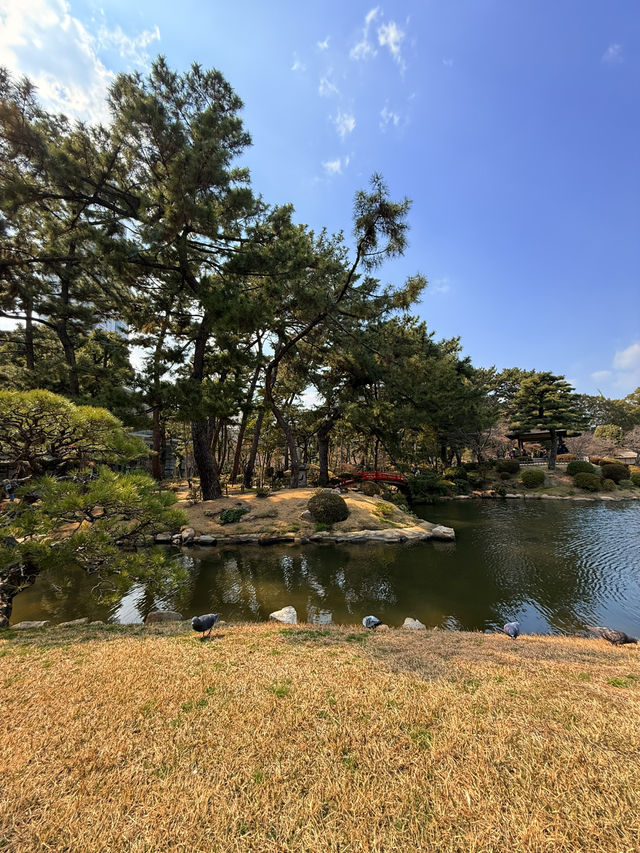 廣島｜泉水屋敷到縮景園 經過原爆悲劇後重現400年前庭園