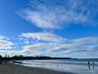 澳洲雪梨_超舒適沙灘海邊「曼利海灘Manly Beach」