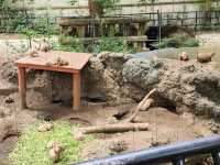 家族で楽しむ都心のリフレッシュポイント – 上野動物園で癒しのひととき