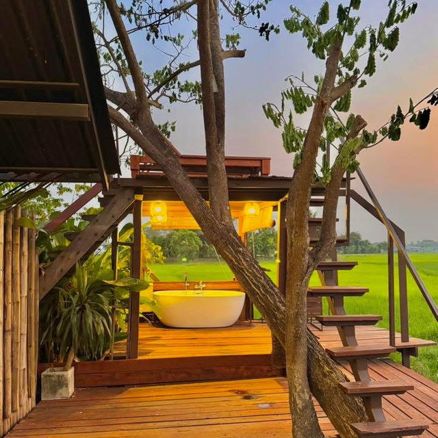 ที่พักกลางทุ่งนา #เชียงใหม่ ฟีลโคตรดี 🏠🛁🌾