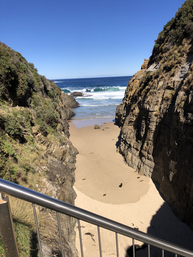 Discovering Tasmania's Natural Wonders 