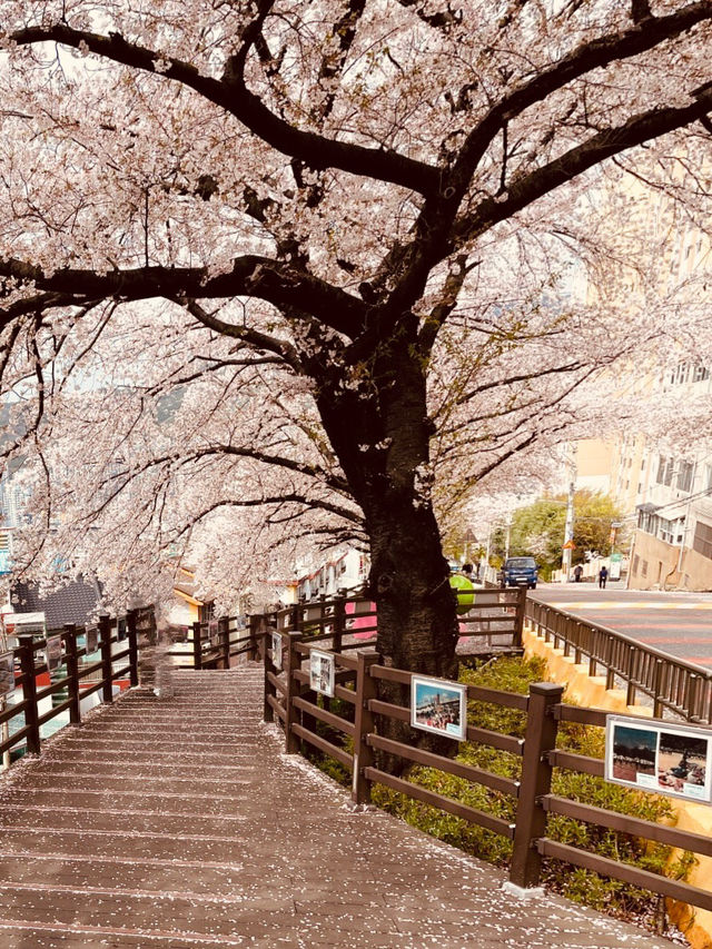 Spring Strolls Through Artistic Alleys 🚶‍♂️🌷