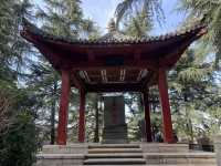 A Peaceful Escape at Xi’an’s Majestic Goose Pagoda