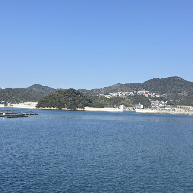 渦潮クルージング