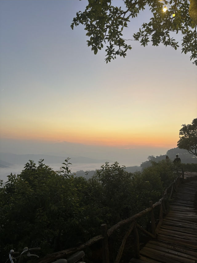 Dreamy Days in Đà Lạt