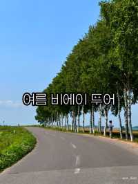 여름에 꼭 가야하는 비에이투어 코스 소개