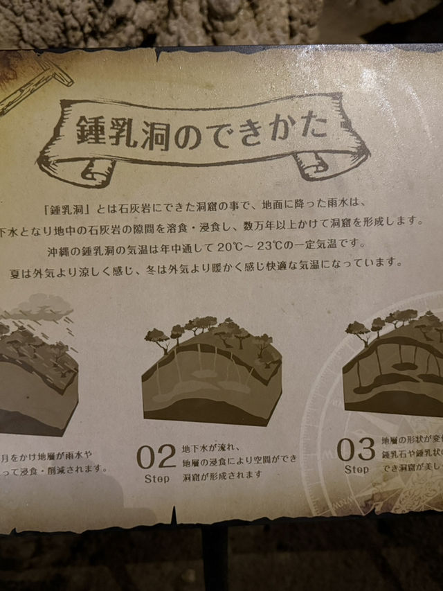 宇流麻市必去景點|Cave Okinawa