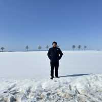7 Days in Sapporo