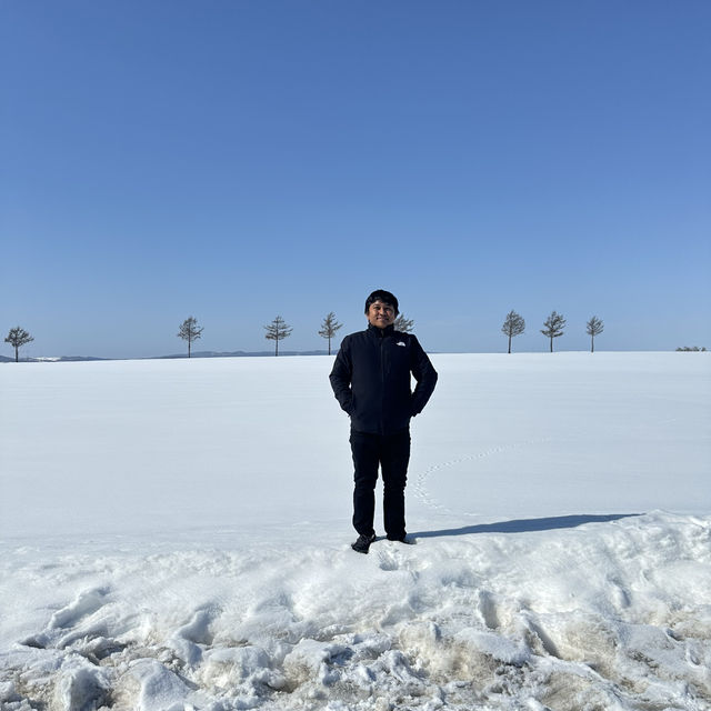 7 Days in Sapporo
