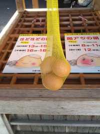 【城崎温泉】温泉卵を作ろう！