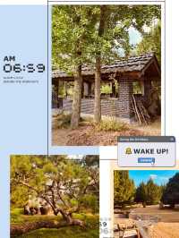 Gurye's Gem: A Must-Visit Juniper Forest