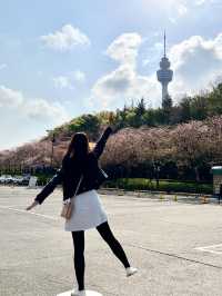 Blossoms Over Thrills: A Serene Escape at E World