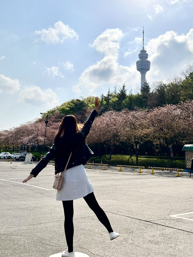 Blossoms Over Thrills: A Serene Escape at E World