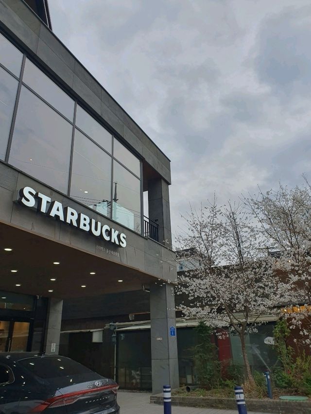 스타벅스 울산대공원점
