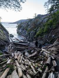 🌿 Lighthouse Park：大自然の中で絶景を楽しむバンクーバーの隠れスポット
