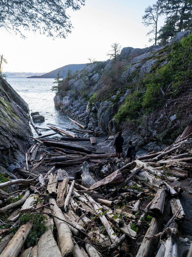 🌿 Lighthouse Park：大自然の中で絶景を楽しむバンクーバーの隠れスポット