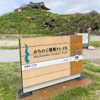Chasing Sakura at Kabushima Island