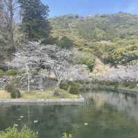 【錦帯橋】