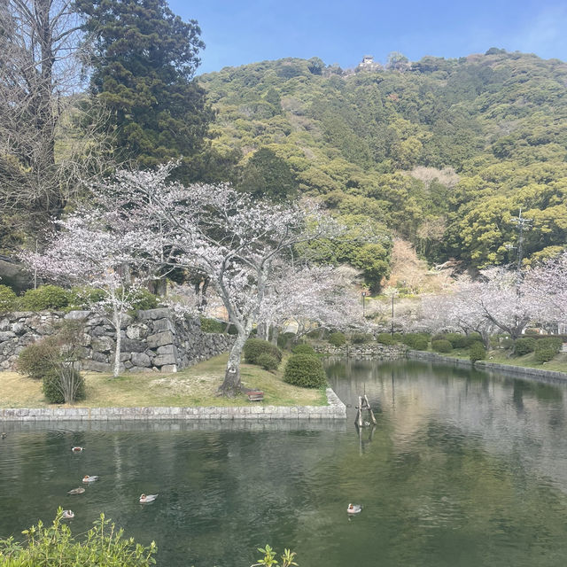【錦帯橋】