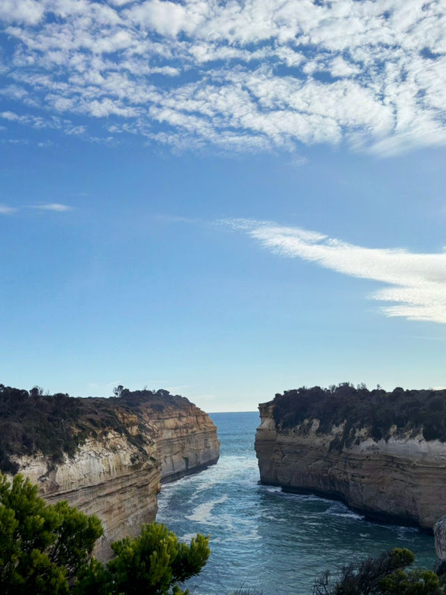 【Great Ocean Road in Melbourne Day 2】