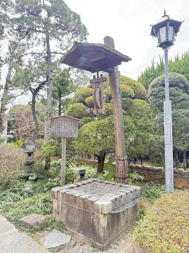 따스한 봄에는 구라시키 미관지구를 가보세요!