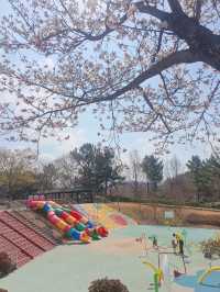 🌸 울산대공원 벚꽃 여행 🌸