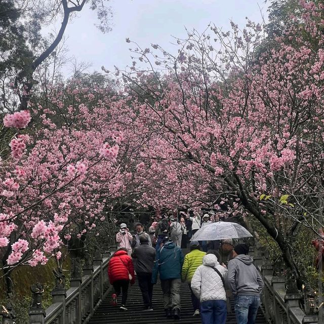 內湖碧山巖