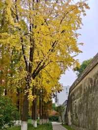 Zicheng Ruins Park: A Blend of History and Serenity