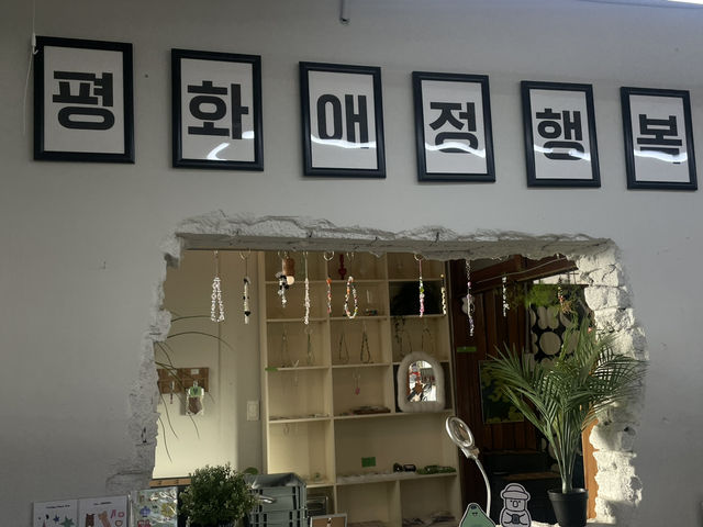 제주 여행 / 제주도 귀염뽀짝한 행운 가득 소품샵 하피바라클럽