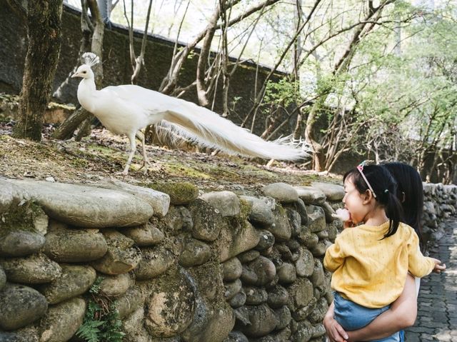 서울대공원의 비밀장소