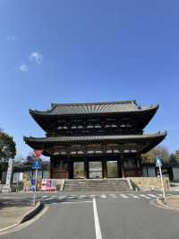 【京都】五重塔と美しい庭園をもつ世界遺産・仁和寺
