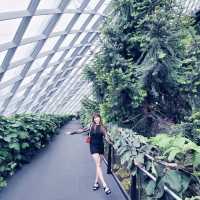 Nature's Harmony: My Unforgettable Visit to Gardens by the Bay
