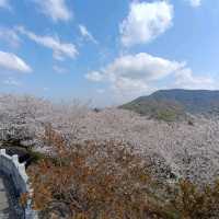 遊四國島香川縣：伊勢朝日山本宮