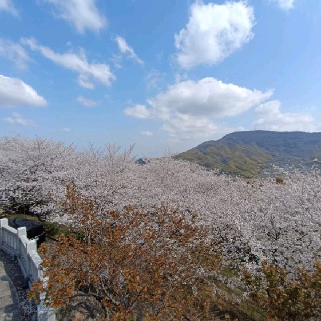 遊四國島香川縣：伊勢朝日山本宮