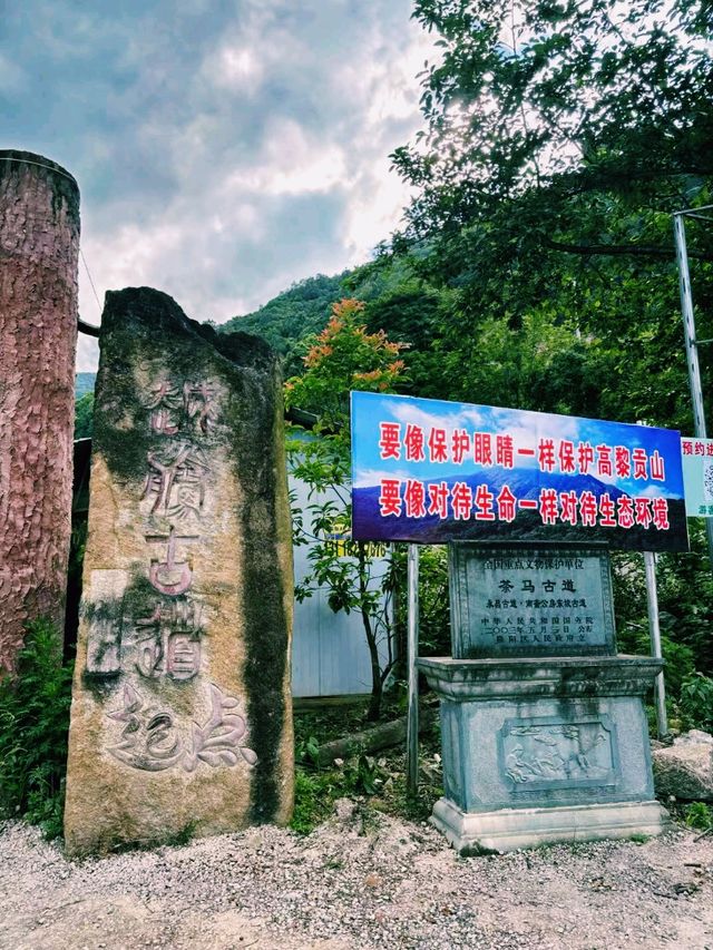 中國雲南騰衝著名景點高黎貢山自然保護區徒步旅行攻略，適合打卡拍照📸