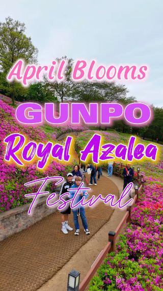 🌸BEAUTIFUL AZALEA that Bloom in Gunpo South Korea