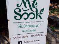 คาเฟ่กลางสวนป่าไม้หอมกฤษณา 🌿🍃 มีสุขฟาร์ม 🌿🍃