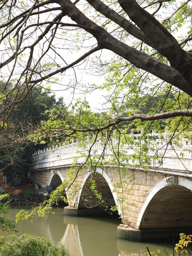 海珠湖公園｜廣州鬧市中嘅氧氣寶藏地
