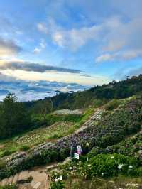 Between Heaven and Earth