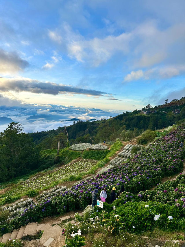 Between Heaven and Earth