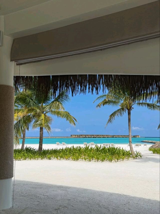 🌅🌴 First Day in Paradise – Maldives Magic Begins! 🐠🍹