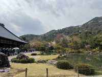 🍃 교토 텐류지(天龍寺), 마음까지 맑아지는 순간 🌸