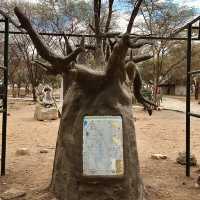 Tarangire 國家公園入口｜壯闊草原探險的起點