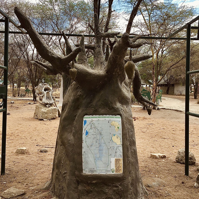 Tarangire 國家公園入口｜壯闊草原探險的起點