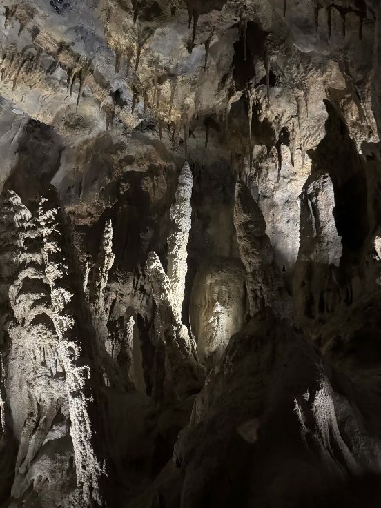 Into the Wild: Exploring Singapore’s Rainforest Wild Asia