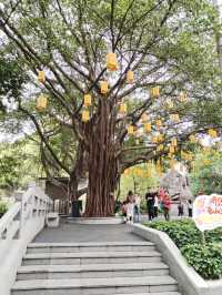 Baiyun mountain ภูเขาไป่หยุน