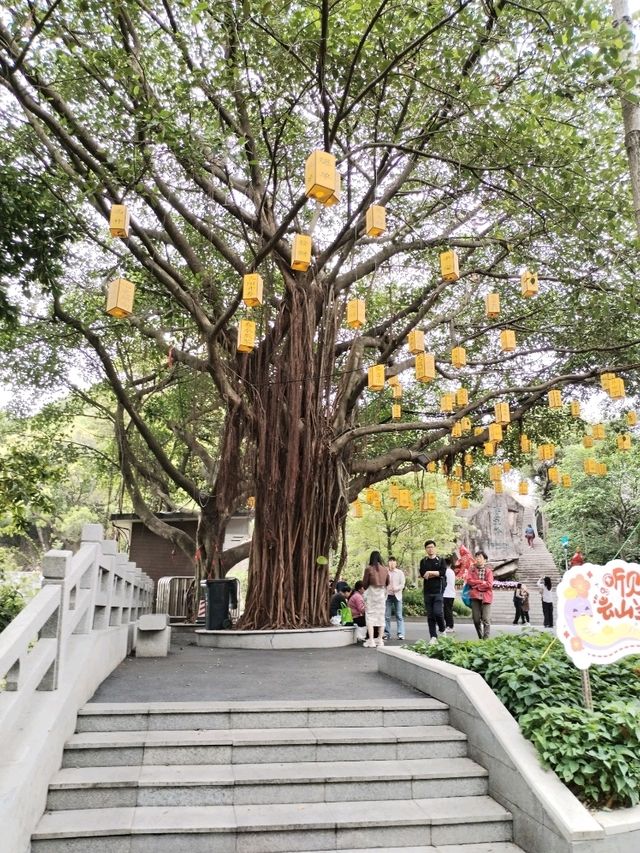 Baiyun mountain ภูเขาไป่หยุน
