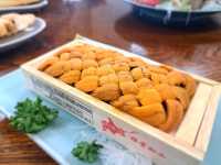 北海道旅遊🥳超高質民宿青塚食堂😍必食新鮮刺身海膽😚燒魚燒帆立貝超好味😍